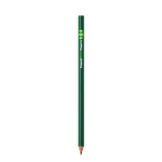 Lápis BIC® Evolution® Ecolutions® cor verde