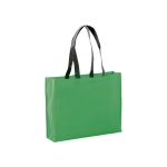 Saco non-woven de cor viva, resistente 9 kg 100 g/m2 Black Handle cor verde primeira vista