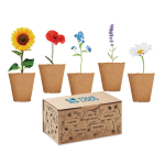 Conjunto de cultivo de flores, 5 tipos diferentes Kit 5 Flowers Grow vista principal