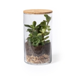 Terrário com sementes de cato para cultivo vertical Terrarium Kit cor natural segunda vista