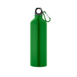 Garrafa colorida grande de alumínio com mosquetão 800ml Cruiser XL cor verde-claro