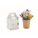 Set de cultivo para crianças de flores de mel e lápis multicolorido cor multicolor terceira vista