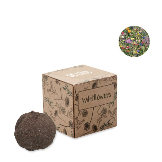 Sementes de flores silvestres com caixa Kit Sementes Wild Flower cor bege sexta vista